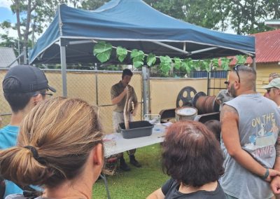 australia day historic tours samford