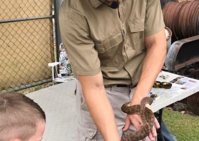 australian native animals display