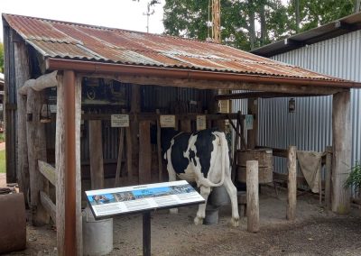 dairy
