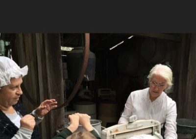 museum volunteer brisbane