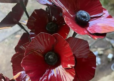 samford anzac ceremony image