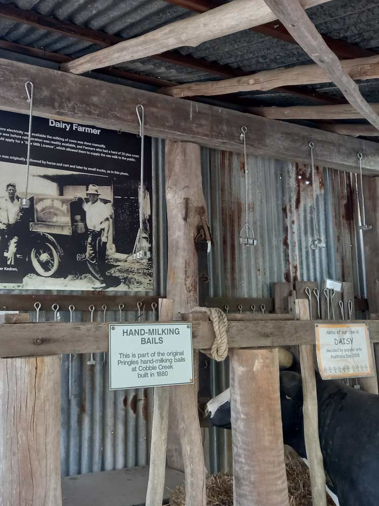 milk cow bails creamery