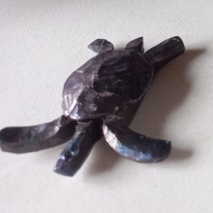 samford turtle