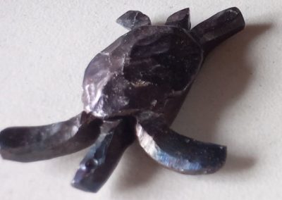 samford turtle